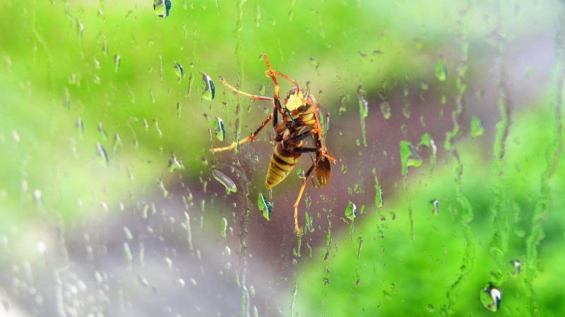 Die Insektenschutz Schiebetür ohne zu Bohren