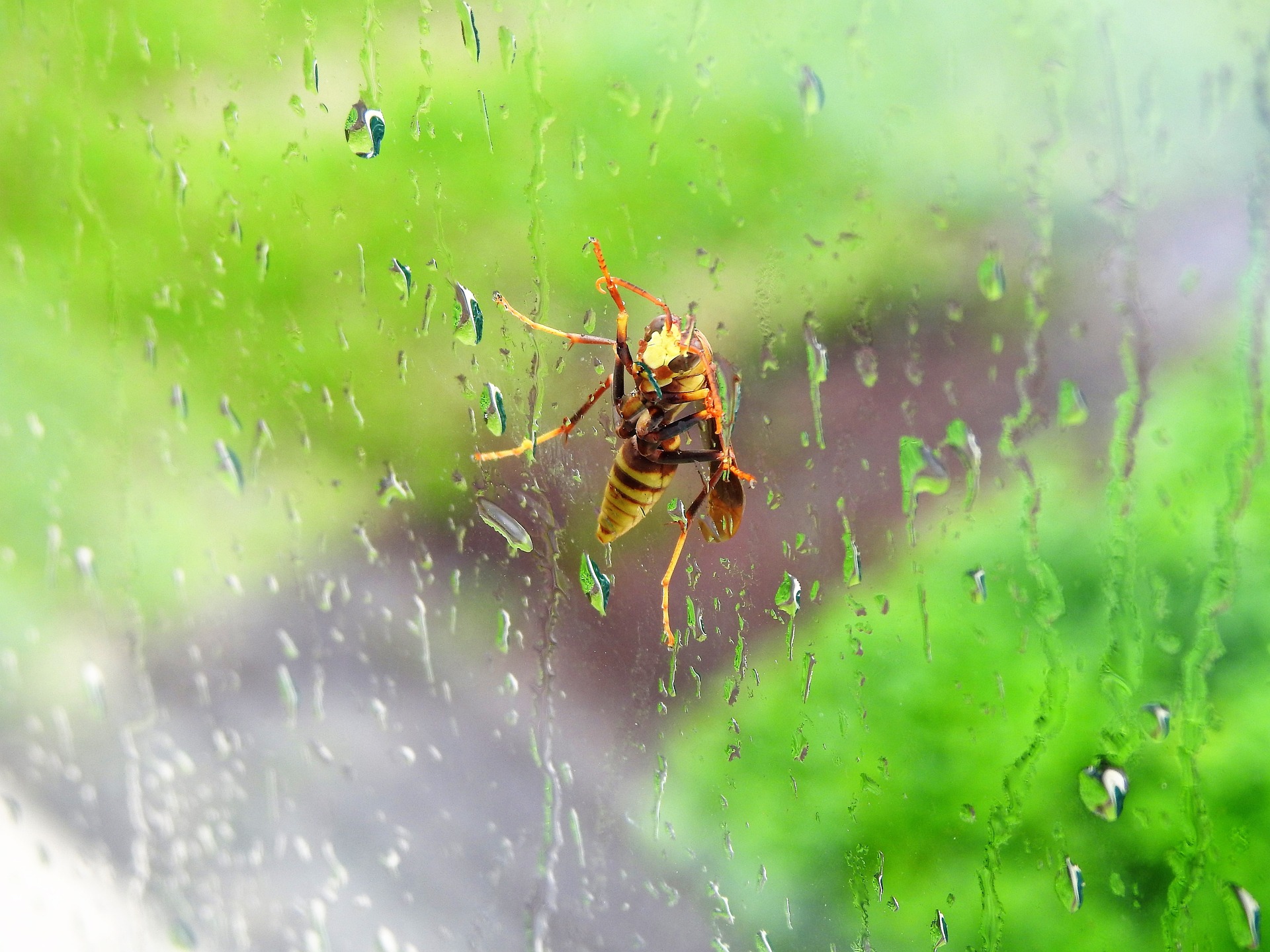 Die Insektenschutz Schiebetür ohne zu Bohren